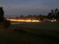 IMG_3641